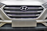 Сетка защитная в решетку радиатора Optimal черный (Travel, Prime) Strelka Hyundai Tucson 2015-2019