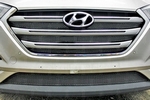 Сетка защитная в решетку радиатора Premium черный (Comfort) Strelka Hyundai Tucson 2015-2019