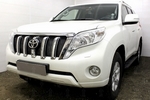 Сетка защитная в решетку радиатора Premium черный Strelka Toyota Land Cruiser Prado 150 2010-2019