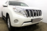 Сетка защитная в решетку радиатора Premium черный Strelka Toyota Land Cruiser Prado 150 2010-2019
