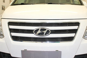 Сетка защитная в решетку радиатора Standart черный Strelka Hyundai Grand Starex (H-1) 2007-2019 ― Auto-Clover