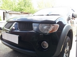 Сетка защитная в решетку радиатора Standart черный Strelka Mitsubishi L200 2005-2015