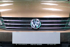 Сетка защитная в решетку радиатора Standart черный Strelka Volkswagen Polo V 2009-2019 ― Auto-Clover