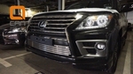 Стальная решетка в передний бампер (d 16) Can Otomotiv Lexus LX570 2008-2019