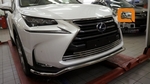 Стальная решетка в передний бампер (d 16) Can Otomotiv Lexus NX 2014-2019