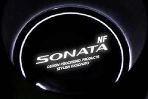 Светодиодная подсветка подстаканников Dxsoauto Hyundai Sonata 2004-2010 ― Auto-Clover