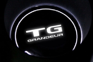 Светодиодная подсветка подстаканников Dxsoauto Hyundai Grandeur TG 2005-2011 ― Auto-Clover