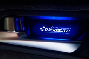 Светодиодная подсветка внутренних ручек дверей AL Hair Line Dxsoauto Hyundai Grandeur TG 2005-2011 ― Auto-Clover