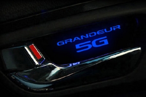 Светодиодная подсветка внутренних ручек дверей Dxsoauto Hyundai Grandeur HG 2011-2019 ― Auto-Clover