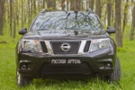 Защитная сетка решетки переднего бампера Русская Артель Nissan Terrano 2014-2019