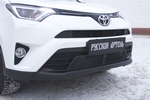 Защитная сетка решетки переднего бампера Русская Артель Toyota RAV4 2013-2019