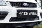 Защитная сетка решетки переднего бампера Русская Артель Ford Focus II 2005-2010