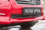 Защитная сетка решетки переднего бампера Русская Артель Toyota RAV4 2006-2012