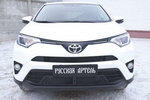 Защитная сетка решетки переднего бампера Русская Артель Toyota RAV4 2013-2019